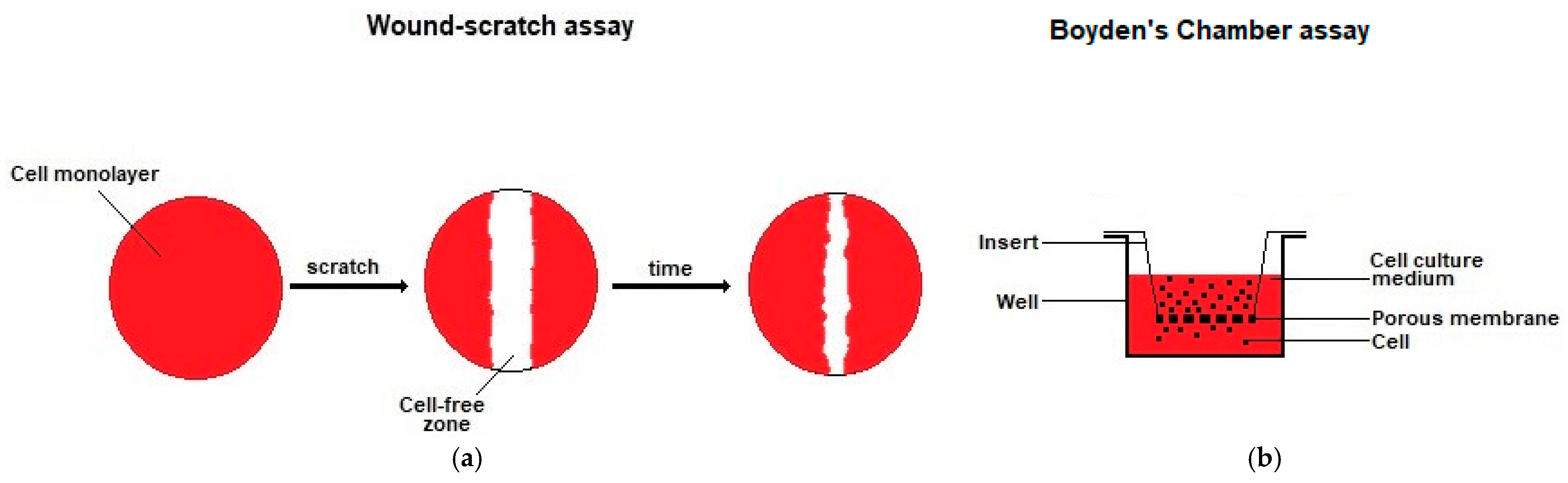 Membranes 12 01281 g008