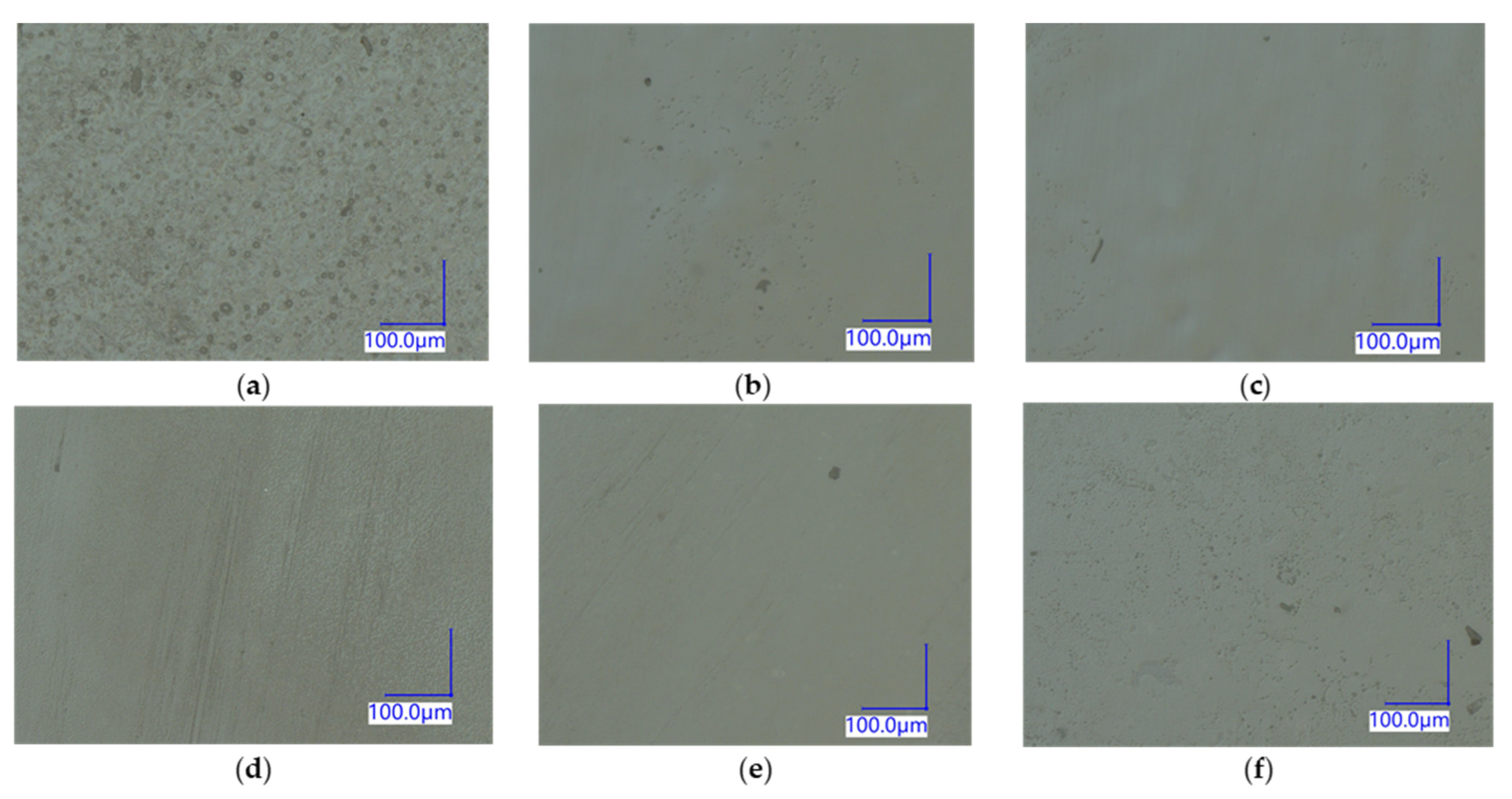 Membranes 13 00107 g003