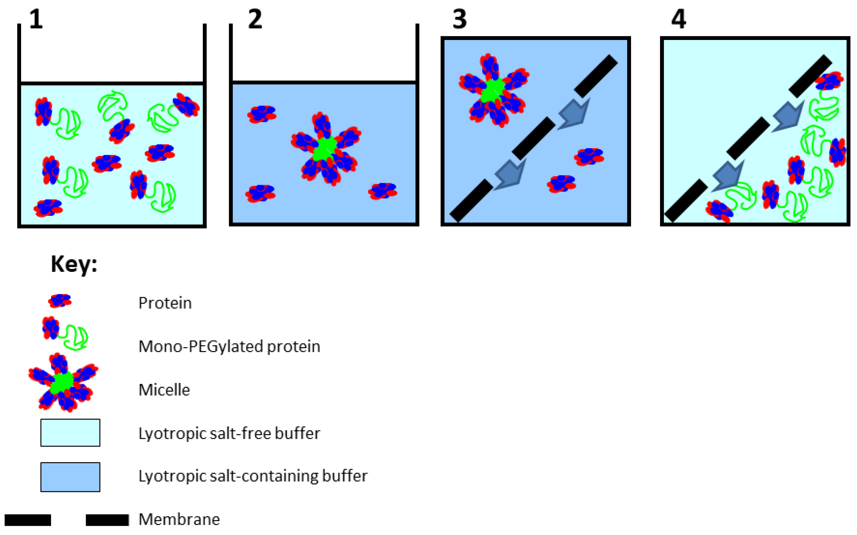 Membranes 13 00182 g001
