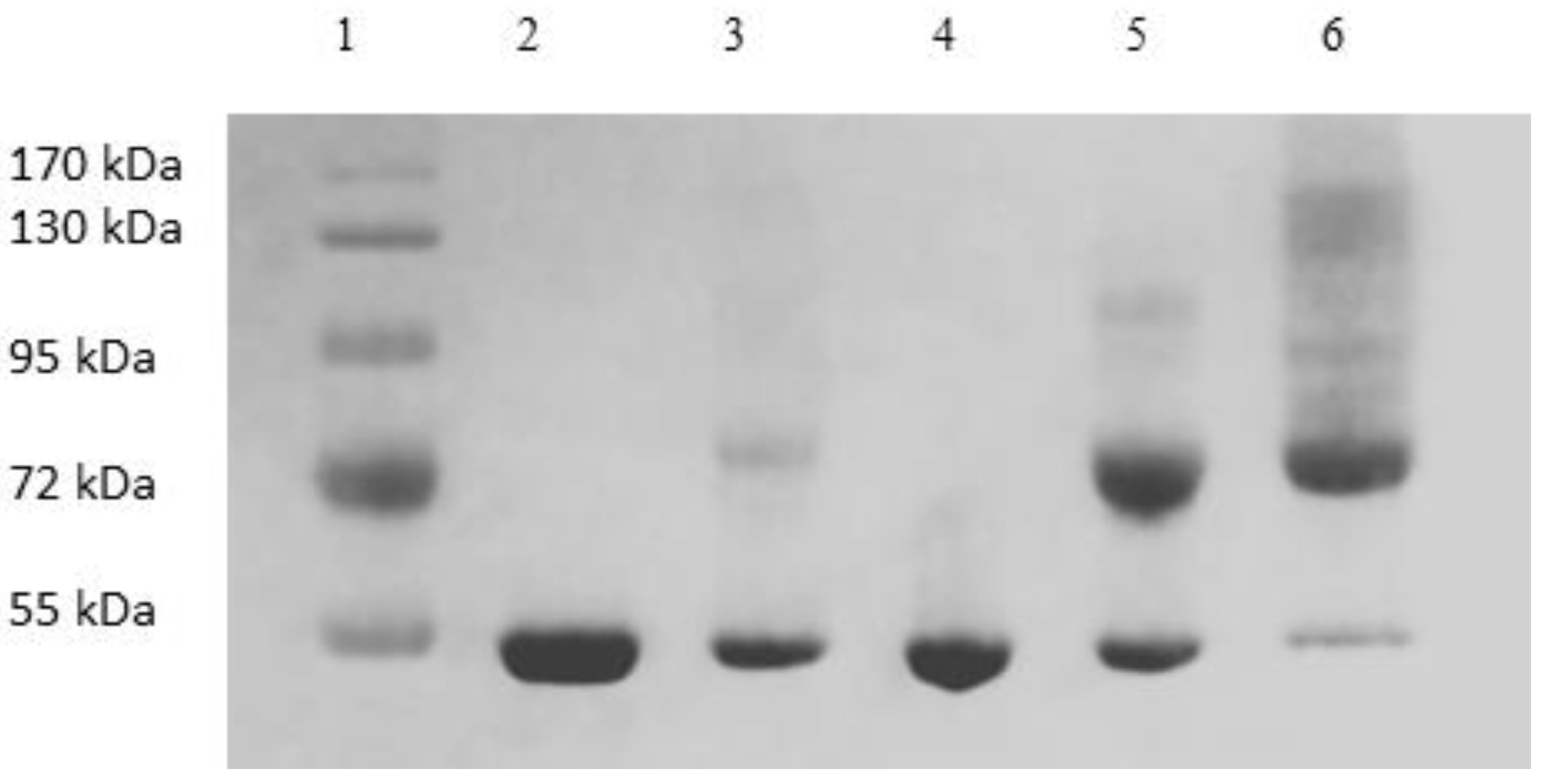 Membranes 13 00182 g009