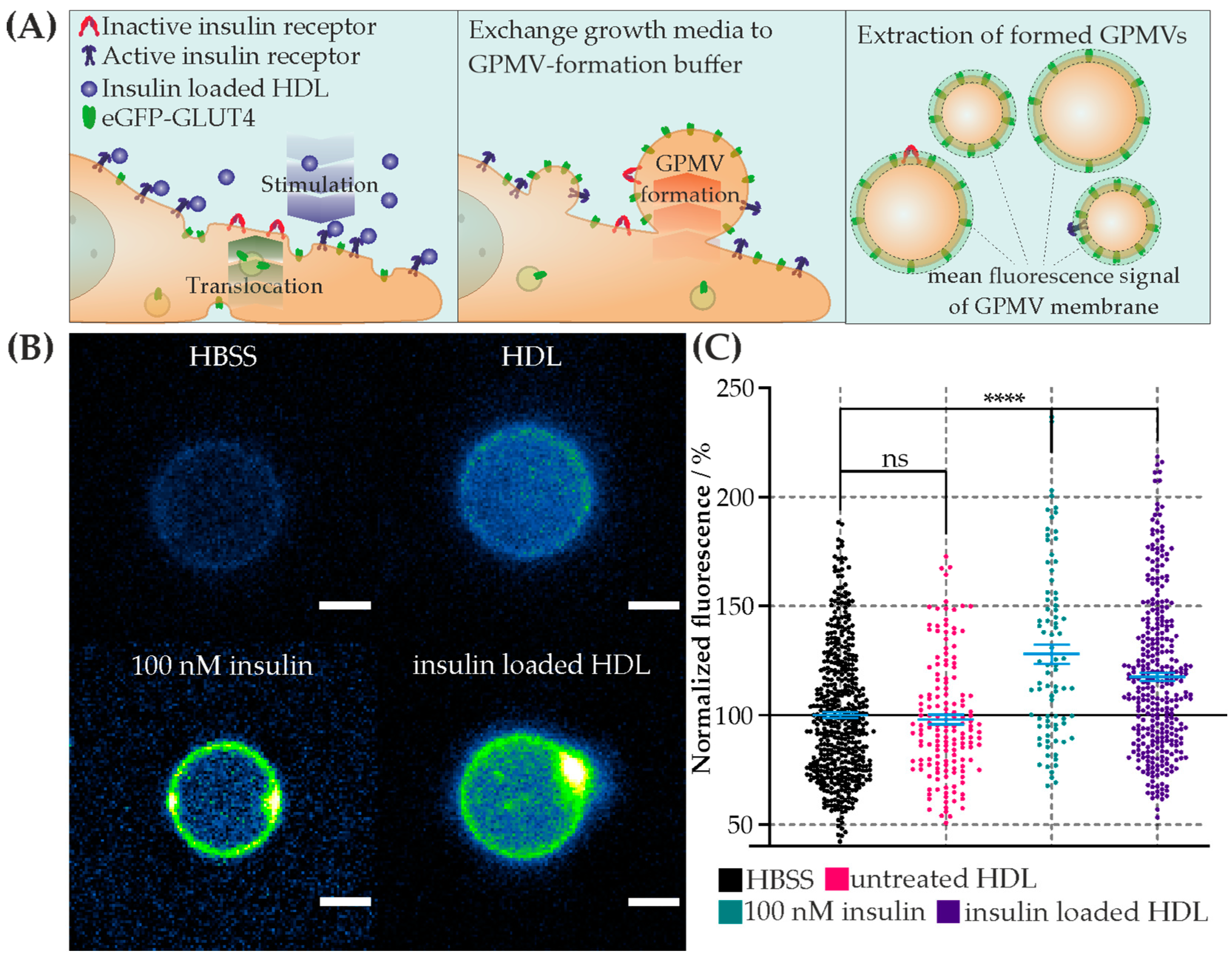 Membranes 13 00471 g003