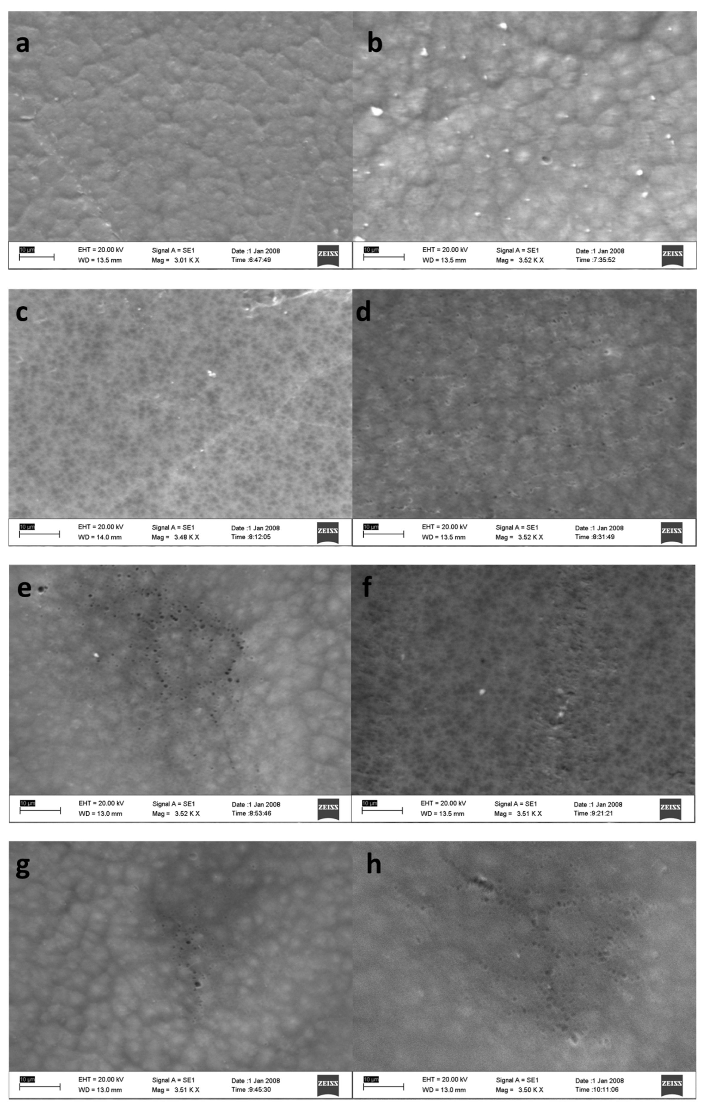 Membranes 13 00611 g002