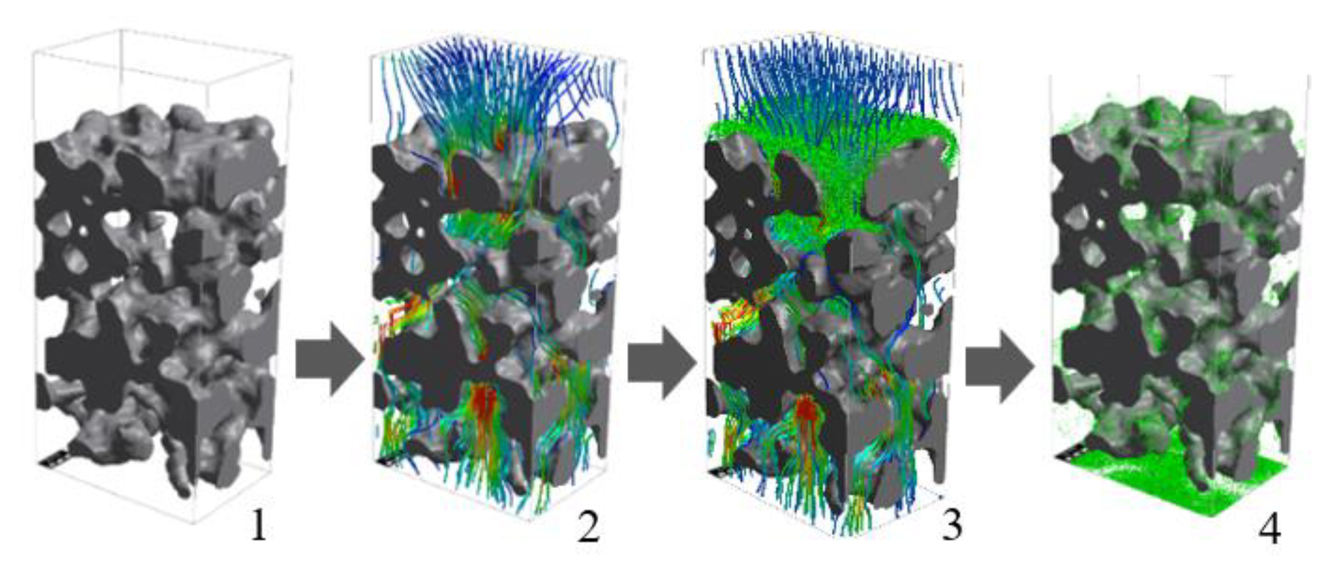 Membranes 13 00644 g005