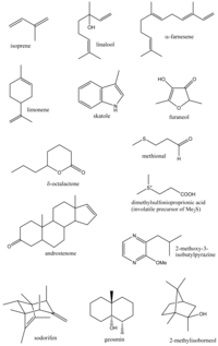 Metabolites 01 00041f1 200