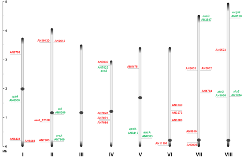 Metabolites 02 00100 g001 1024