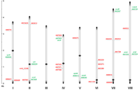 Metabolites 02 00100 g001 200