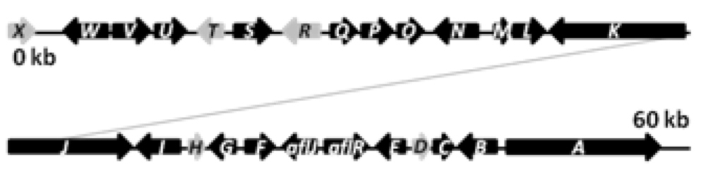 Metabolites 02 00100 g003 1024