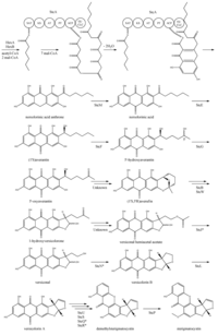 Metabolites 02 00100 g004 200