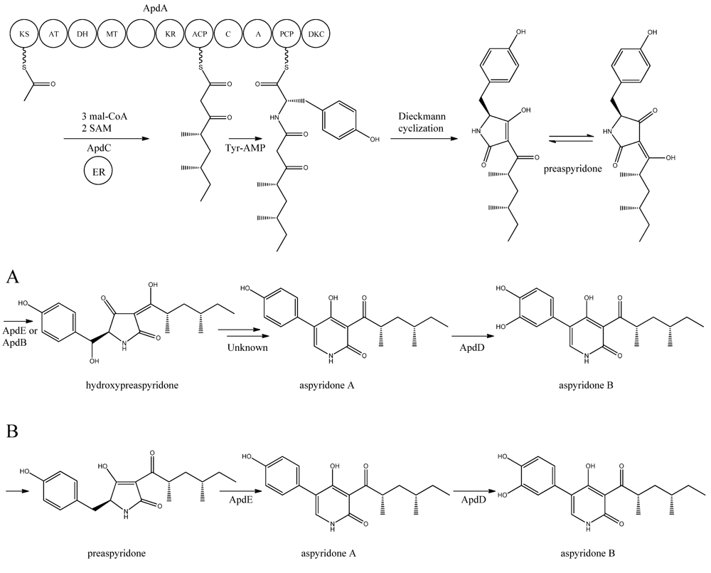 Metabolites 02 00100 g005 1024