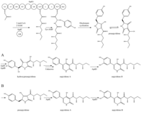 Metabolites 02 00100 g005 200