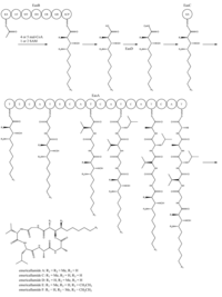 Metabolites 02 00100 g006 200