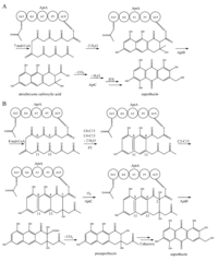 Metabolites 02 00100 g007 200