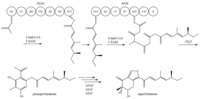 Metabolites 02 00100 g008 200