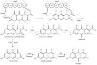 Metabolites 02 00100 g009 200
