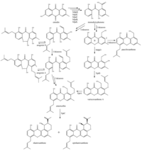 Metabolites 02 00100 g010 200