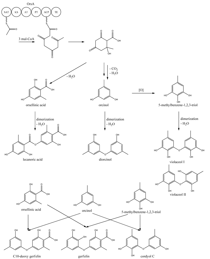 Metabolites 02 00100 g011 1024