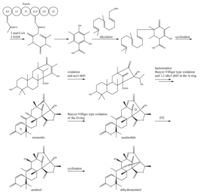 Metabolites 02 00100 g013 200