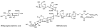 Metabolites 02 00134 g003 200