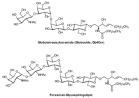 Metabolites 02 00134 g007 200