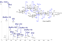 Metabolites 02 00134 g008 200