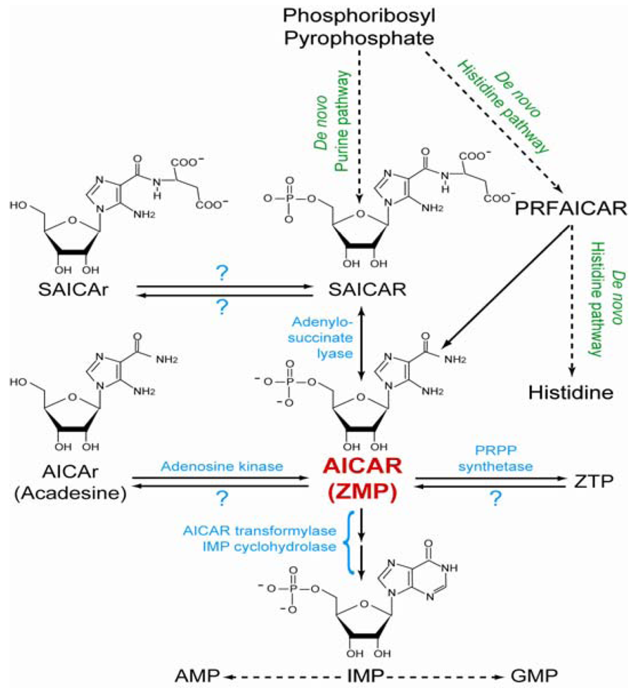 Metabolites 02 00292 g001 1024