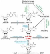 Metabolites 02 00292 g001 200