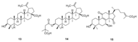 Metabolites 02 00303 g004 200