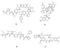Metabolites 02 00303 g011 200