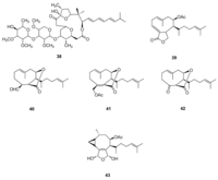 Metabolites 02 00303 g012 200