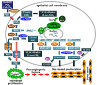 Metabolites 02 00337 g003 200