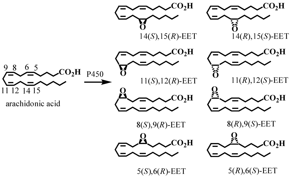 Metabolites 02 00337 g008 1024