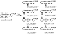 Metabolites 02 00337 g008 200