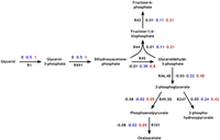 Metabolites 02 00382 g002 200