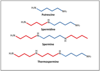 Metabolites 02 00516 g001 200