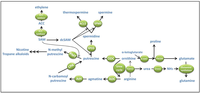 Metabolites 02 00516 g002 200