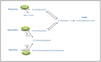 Metabolites 02 00516 g003 200