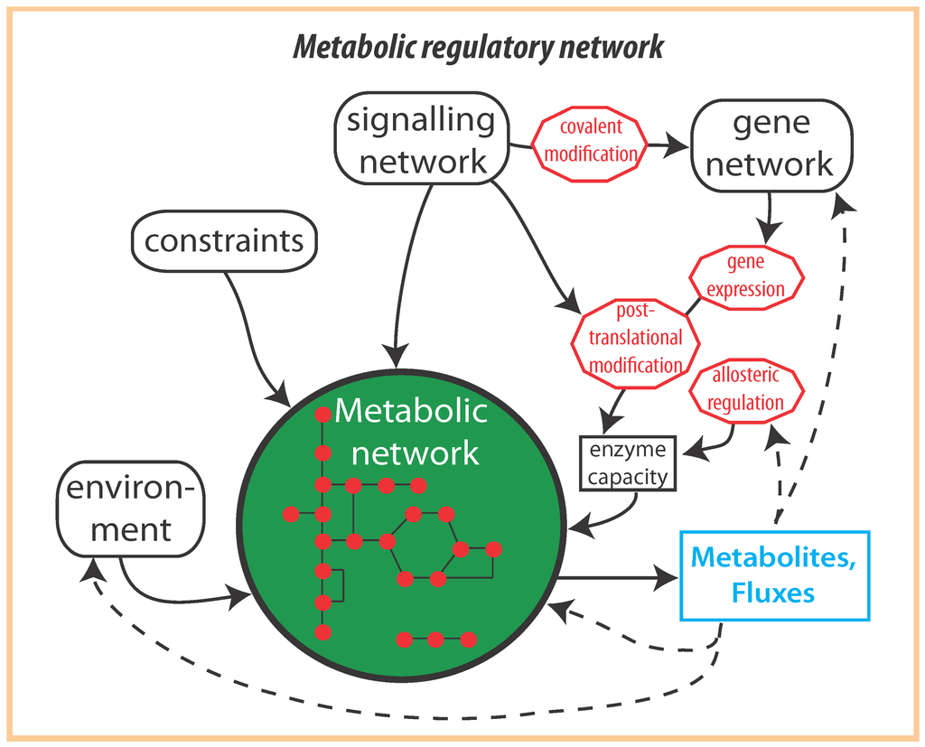 Metabolites 02 00529 g001 1024