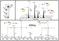 Metabolites 02 00648 g002 200