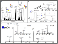 Metabolites 02 00648 g003 200
