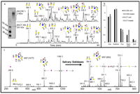 Metabolites 02 00648 g004 200