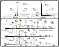 Metabolites 02 00648 g005 200