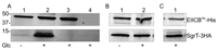 Metabolites 02 00756 g001 200