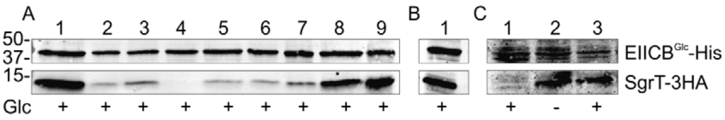 Metabolites 02 00756 g003 1024