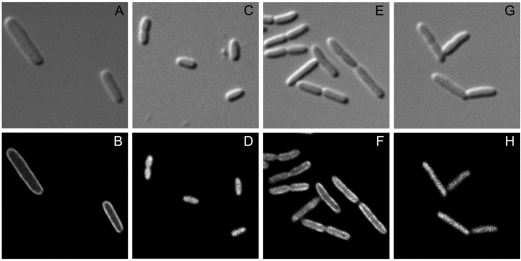 Metabolites 02 00756 g004 1024