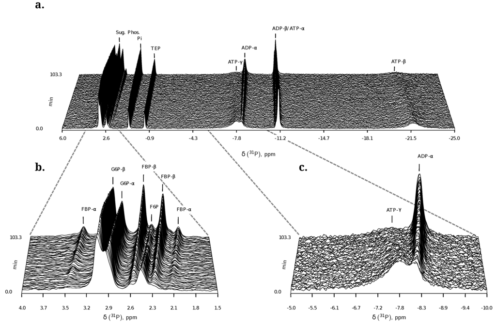 Metabolites 02 00818 g006 1024