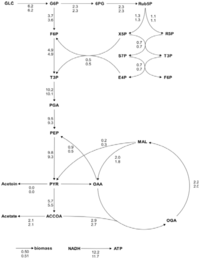 Metabolites 02 00872 g005 200