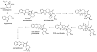 Metabolites 02 01031 g002 200