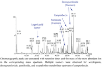 Metabolites 02 01031 g003 200