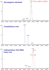 Metabolites 02 01031 g005 200