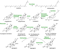 Metabolites 02 01031 g012 200